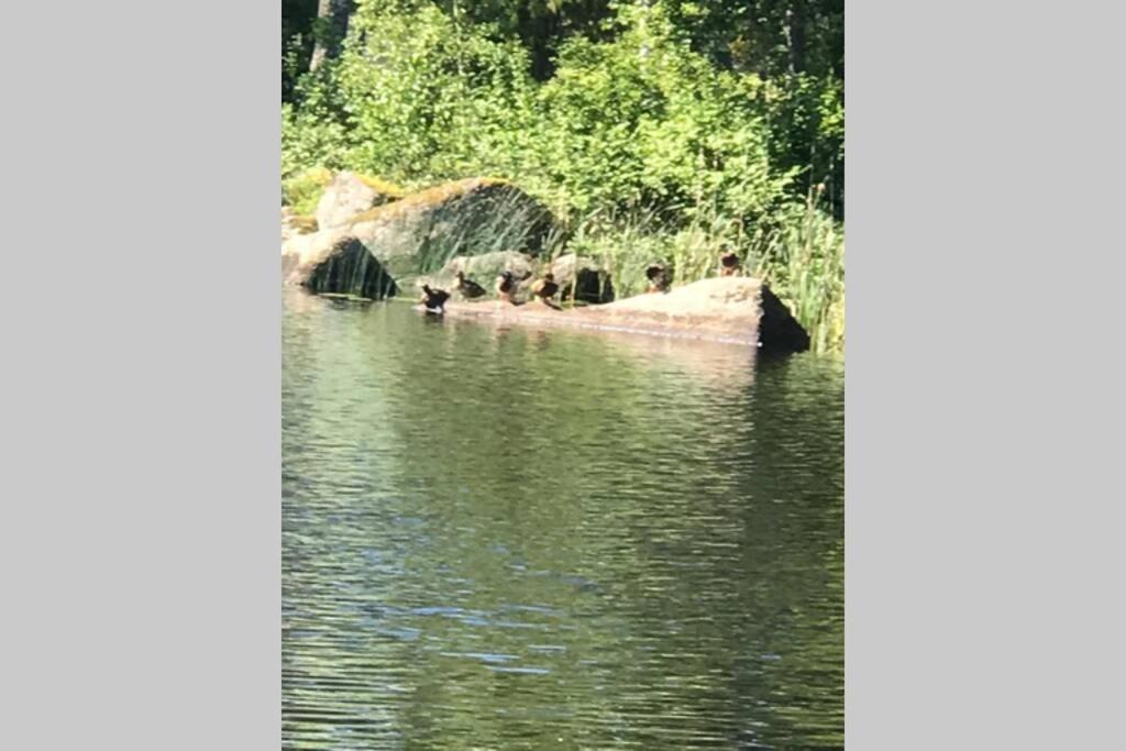 Vacker Hus I Naturen Fröseke Kültér fotó